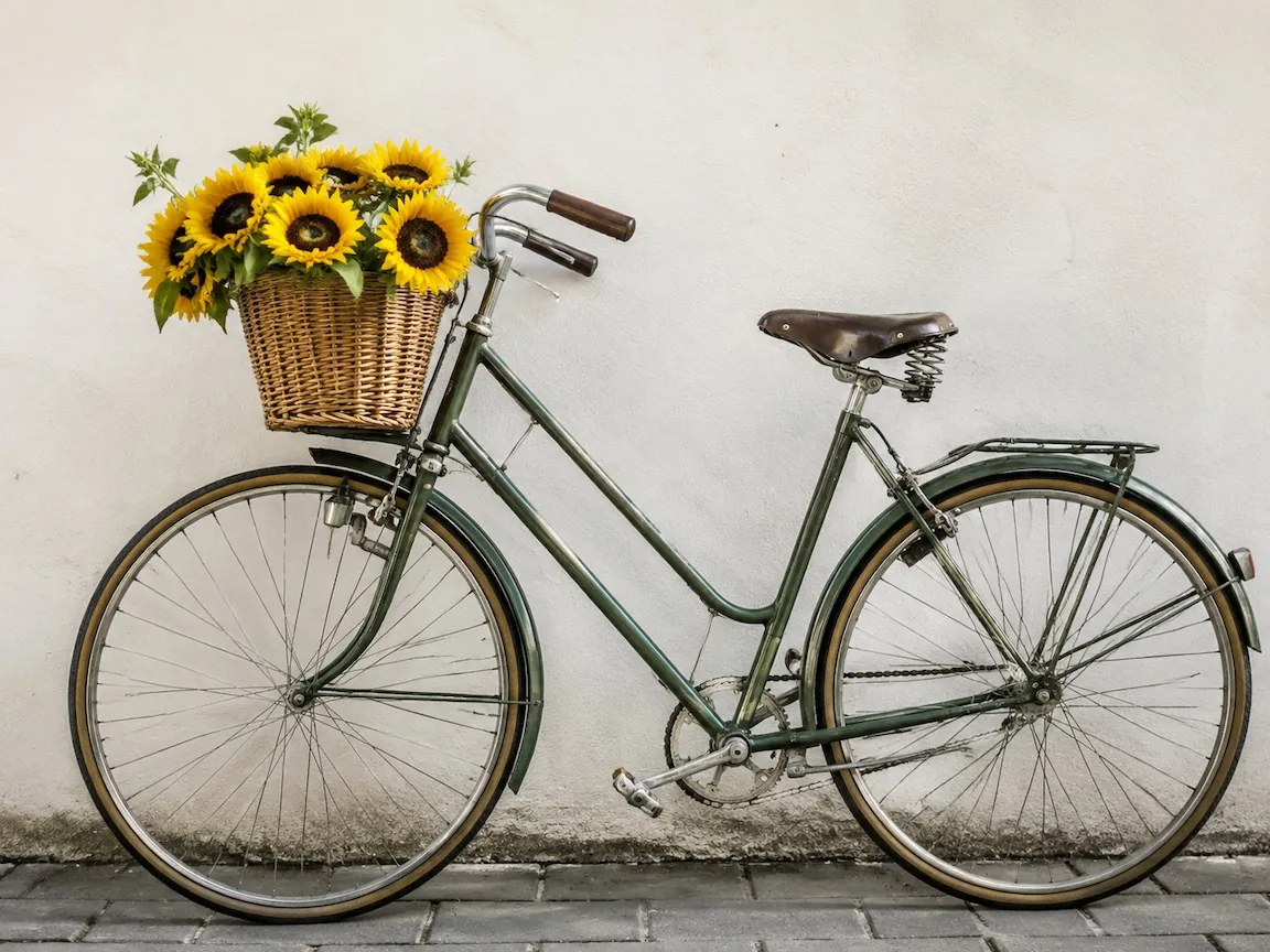 Bici con fiori (Foto)