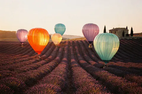 Lavender Lift-Off