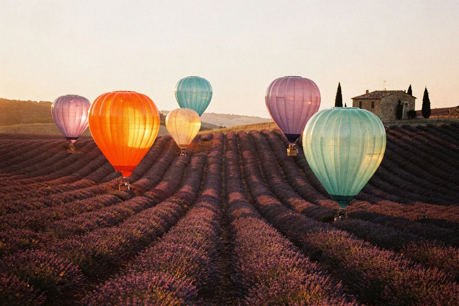 Lavender Lift-Off