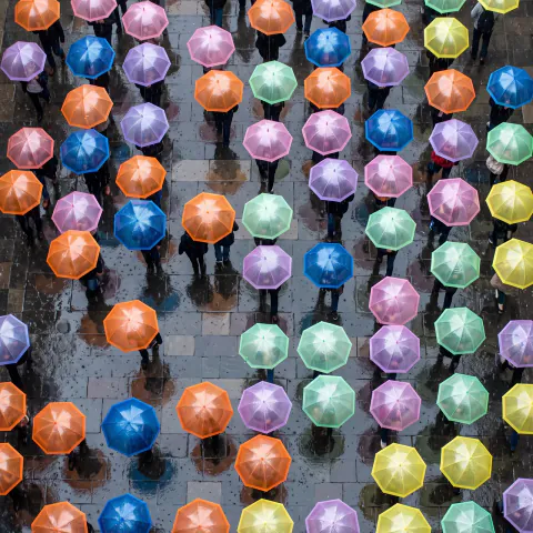 Jelly Umbrellas